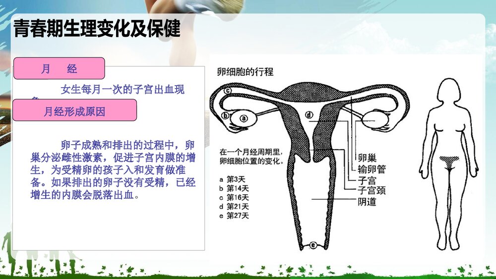 《青春期生理发育与心理健康讲座》PPT课件9