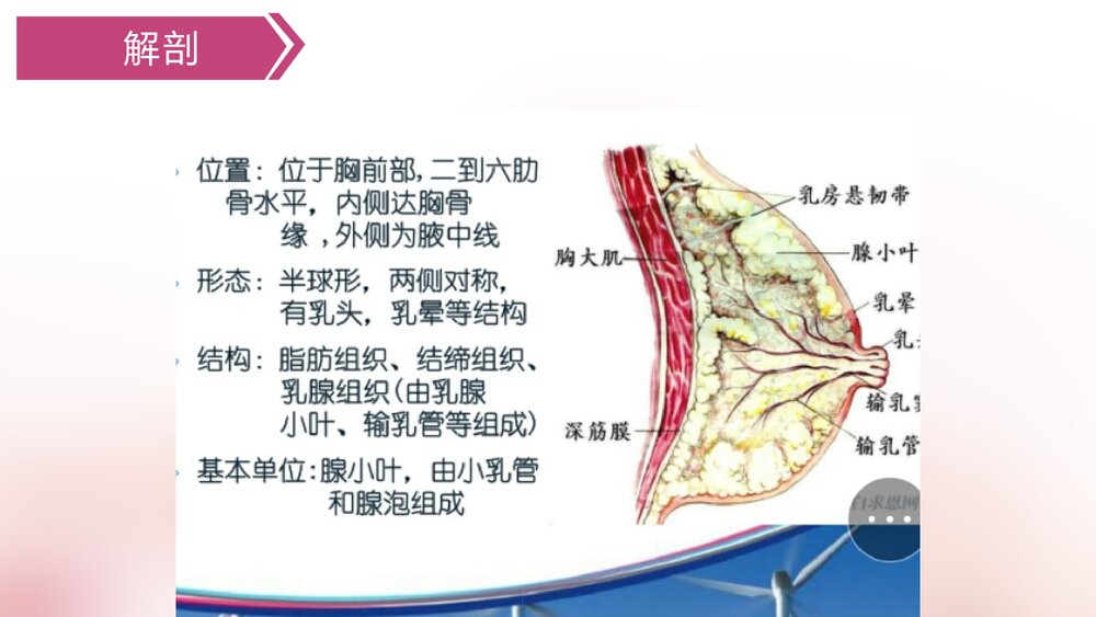 乳腺癌手术的护理配合PPT课件下载5