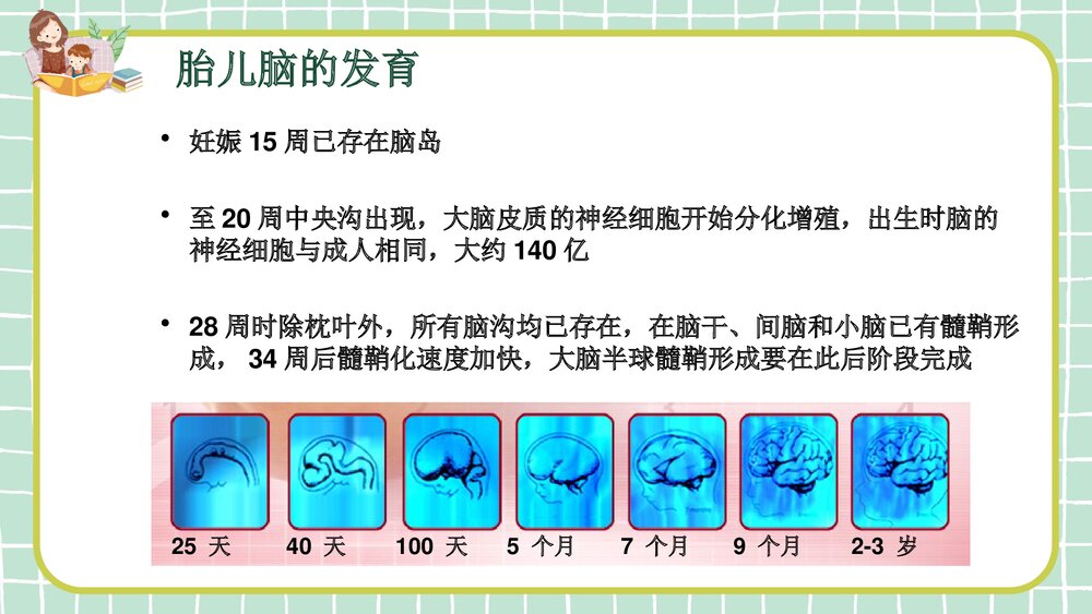 NICU新生儿发育支持护理PPT课件下载2