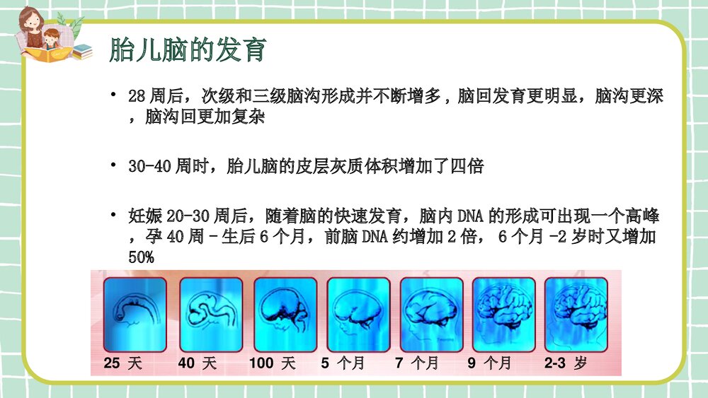 NICU新生儿发育支持护理PPT课件下载3