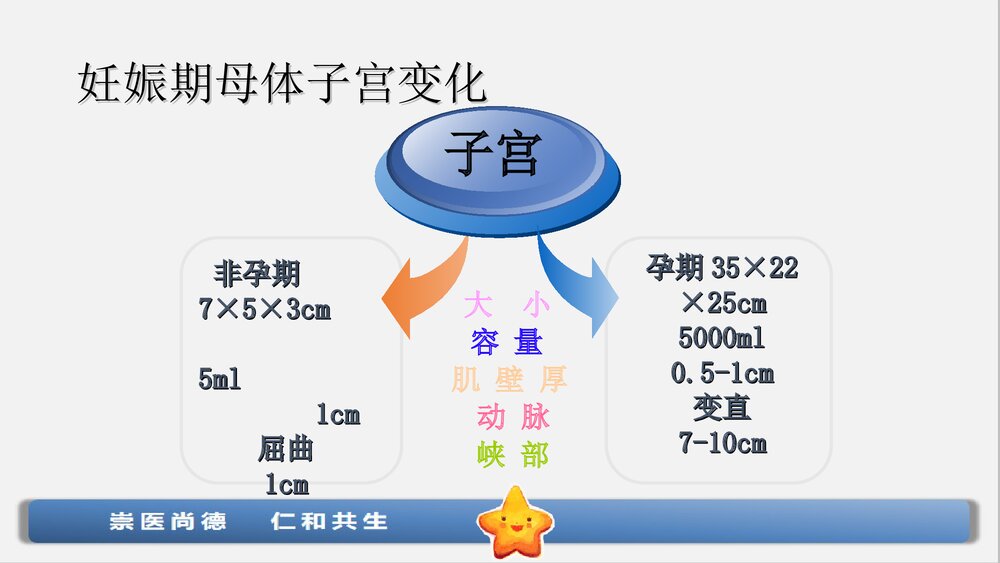 子宫下段剖宫产术手术配合与护理查房ppt课件下载6