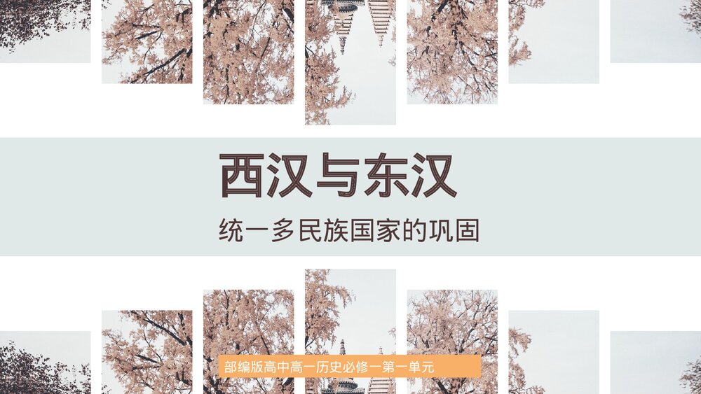 部编版高一历史必修一第一单元《西汉与东汉,统一多民族国家的巩固》教学PPT课件1