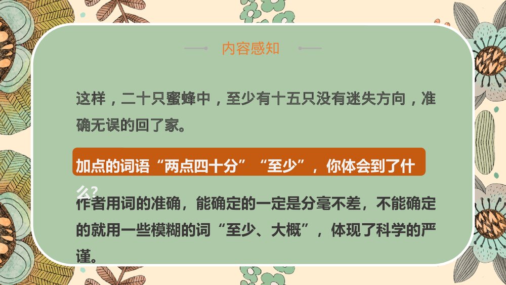 语文部编版小学三年级下册《蜜蜂》教育教学PPT课件10