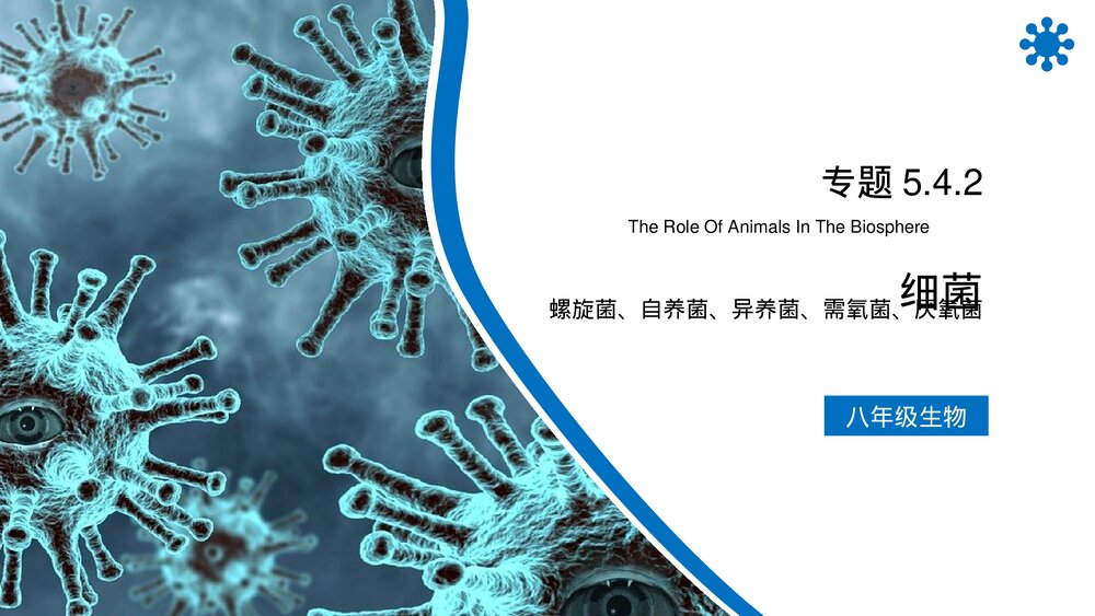 八年级生物上册《细菌》PPT课件(第5.4.2课时)1