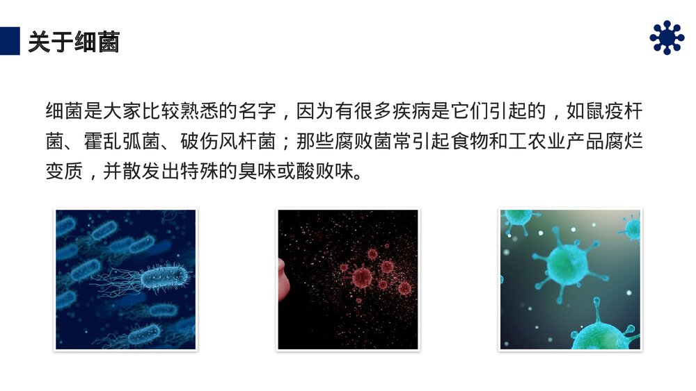 八年级生物上册《细菌》PPT课件(第5.4.2课时)3