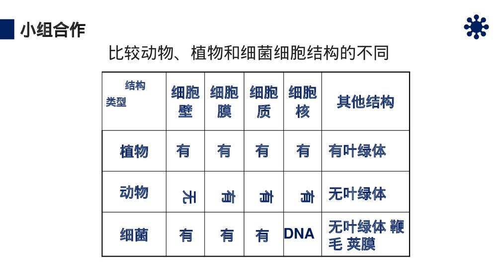 八年级生物上册《细菌》PPT课件(第5.4.2课时)10