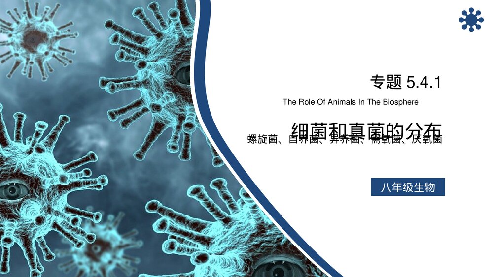 八年级生物上册《细菌和真菌的分布》PPT课件(第5.4.1课时)1