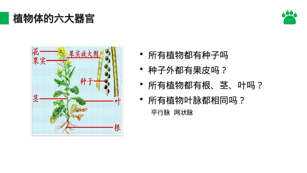 八年级生物上册《尝试对生物进行分类》PPT课件(第6.1.1课时)7