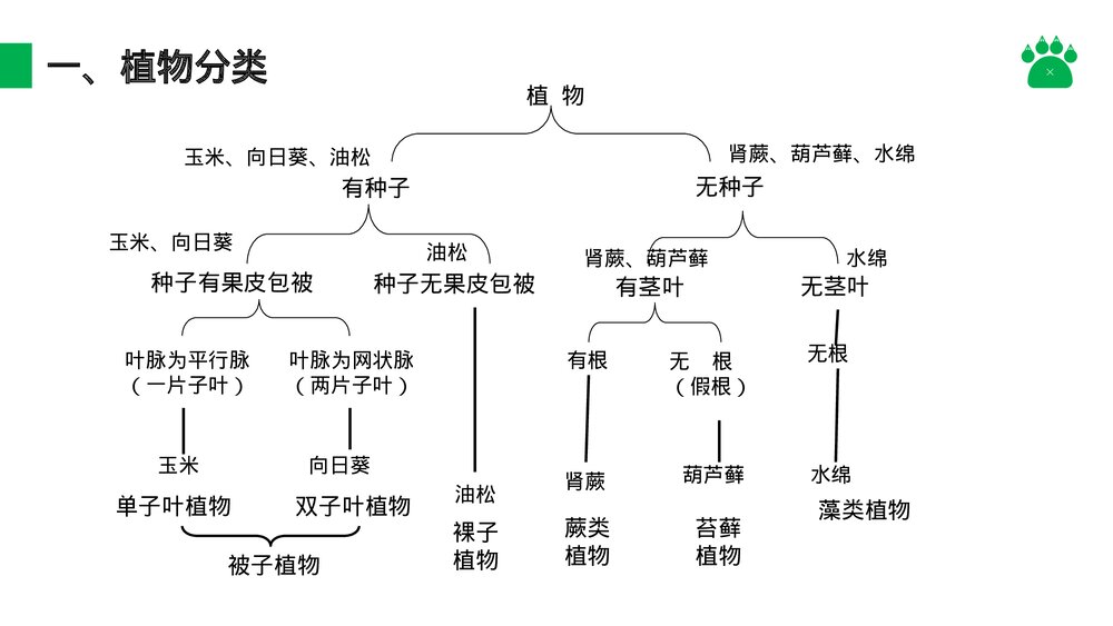 八年级生物上册《尝试对生物进行分类》PPT课件(第6.1.1课时)9