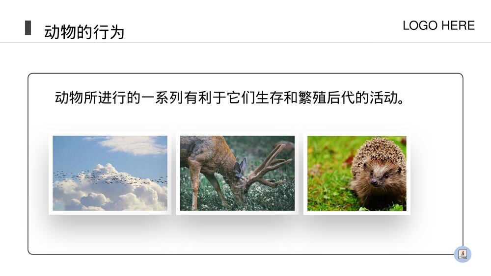 人教版八年级生物上册《先天性行为和学习行为》PPT课件(第5.2.2课时)5