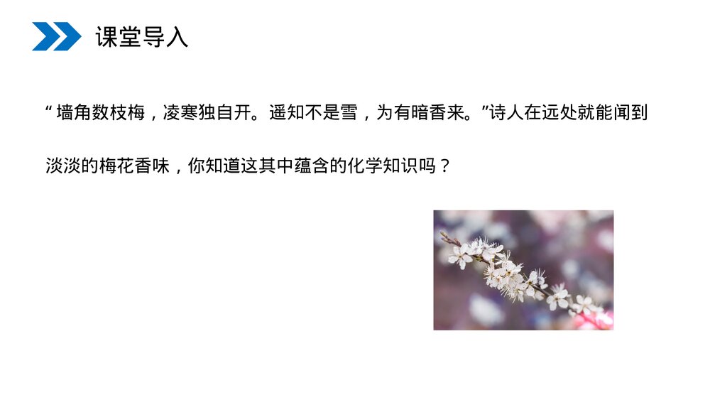 人教版初中化学九年级上册《分子和原子》PPT课件(第3.1课时)2