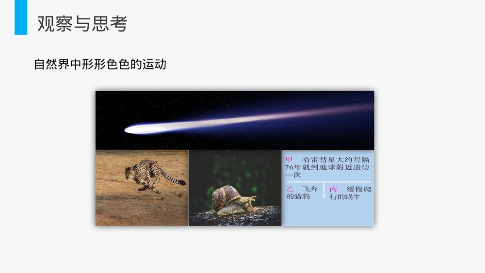 人教版八年级物理上册《运动的描述》教学PPT课件4