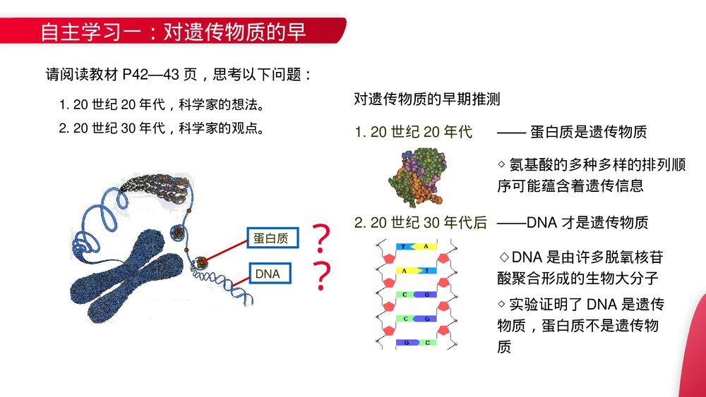 高一下册生物必修二《DNA是主要的遗传物质》PPT课件(第3.1课时)3