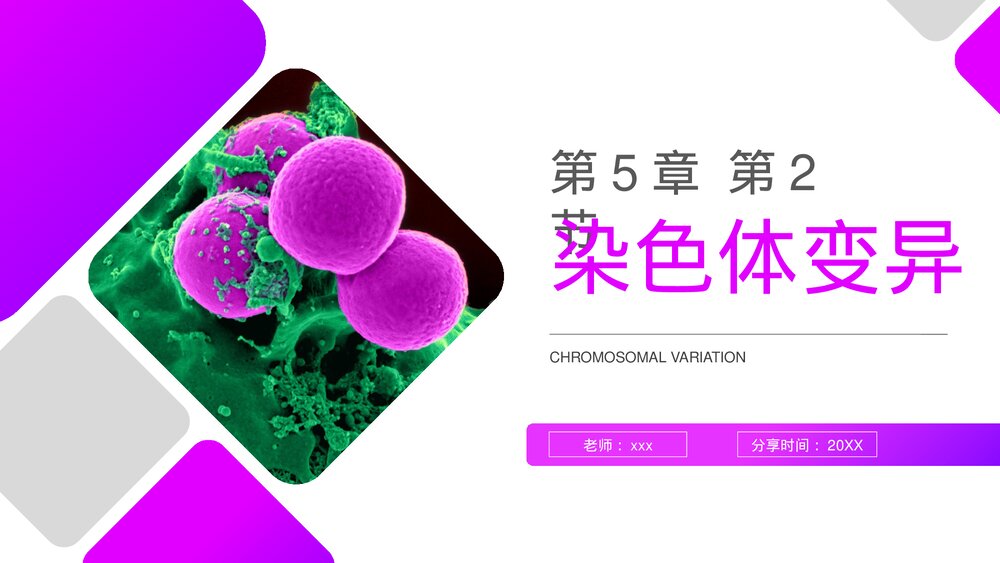 高一下册生物必修二《染色体变异》PPT课件(第5.2课时)1