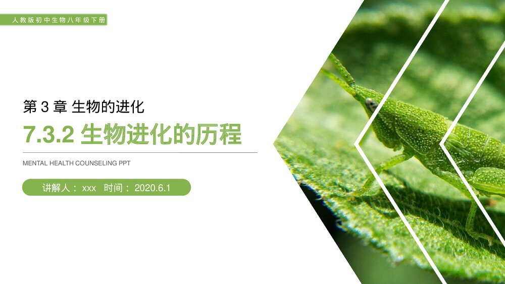 人教版初中生物八年级下册《生物进化的历程》PPT课件1