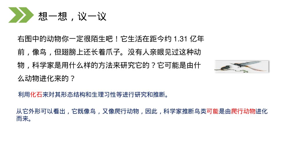 人教版初中生物八年级下册《生物进化的历程》PPT课件4