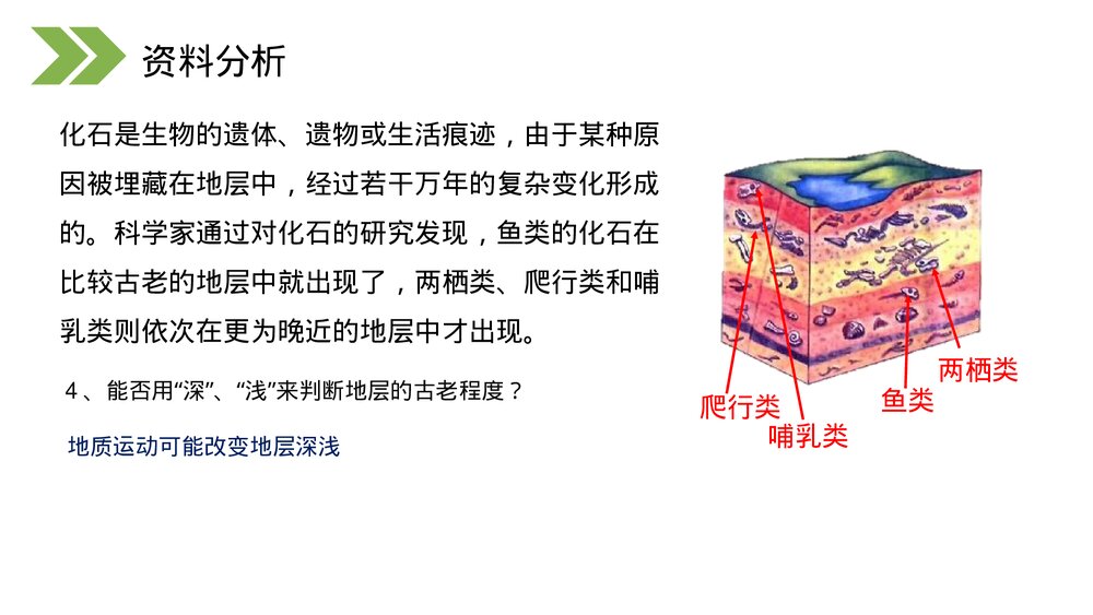 人教版初中生物八年级下册《生物进化的历程》PPT课件9