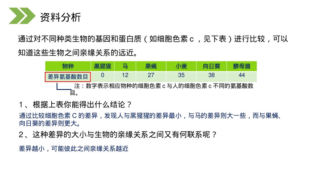 人教版初中生物八年级下册《生物进化的历程》PPT课件10