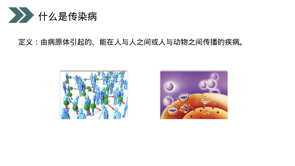 人教版初中生物八年级下册《传染病及其预防》PPT课件4