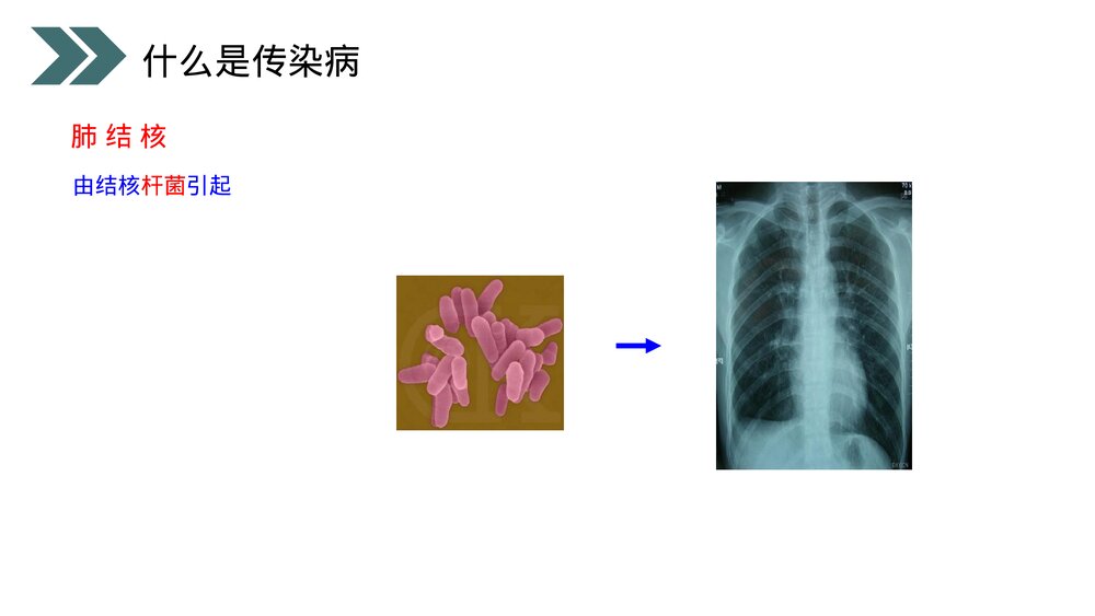 人教版初中生物八年级下册《传染病及其预防》PPT课件9