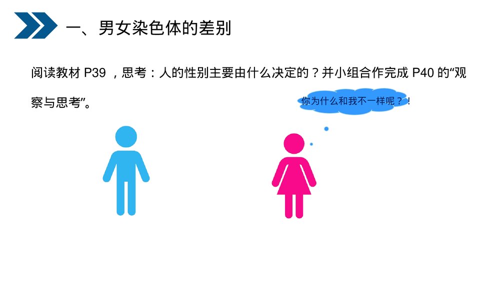 人教版初中生物八年级下册《生物的遗传和变异(人的性别遗传)》PPT课件4
