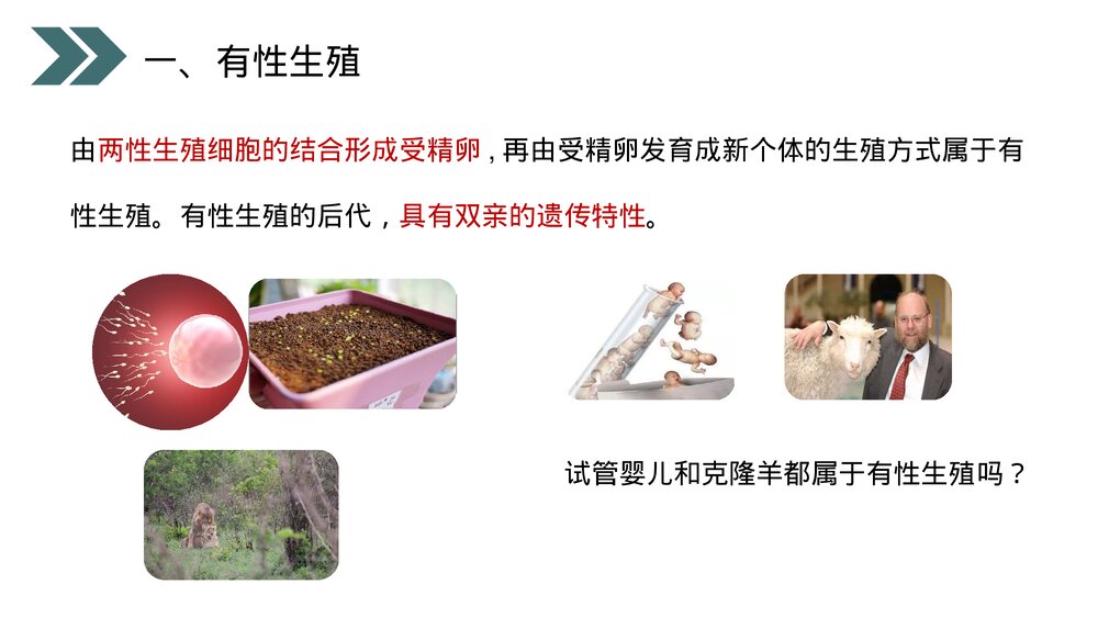 人教版初中生物八年级下册《生物的生殖和发育(植物的生殖)》PPT课件5