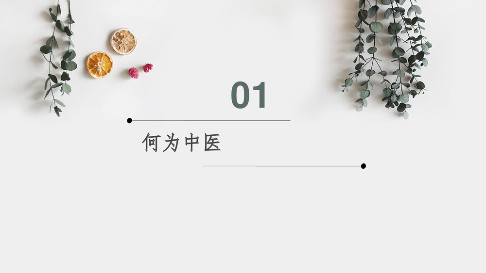 中医在妇产科方面的应用PPT课件下载(共27页)3