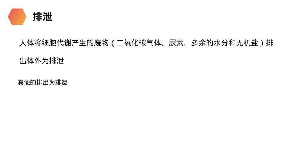 人教版生物七年级初一下册《人体废物的排出》PPT课件5