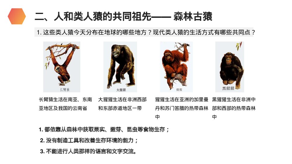 人教版生物七年级初一下册《人类的起源和发展》PPT课件6