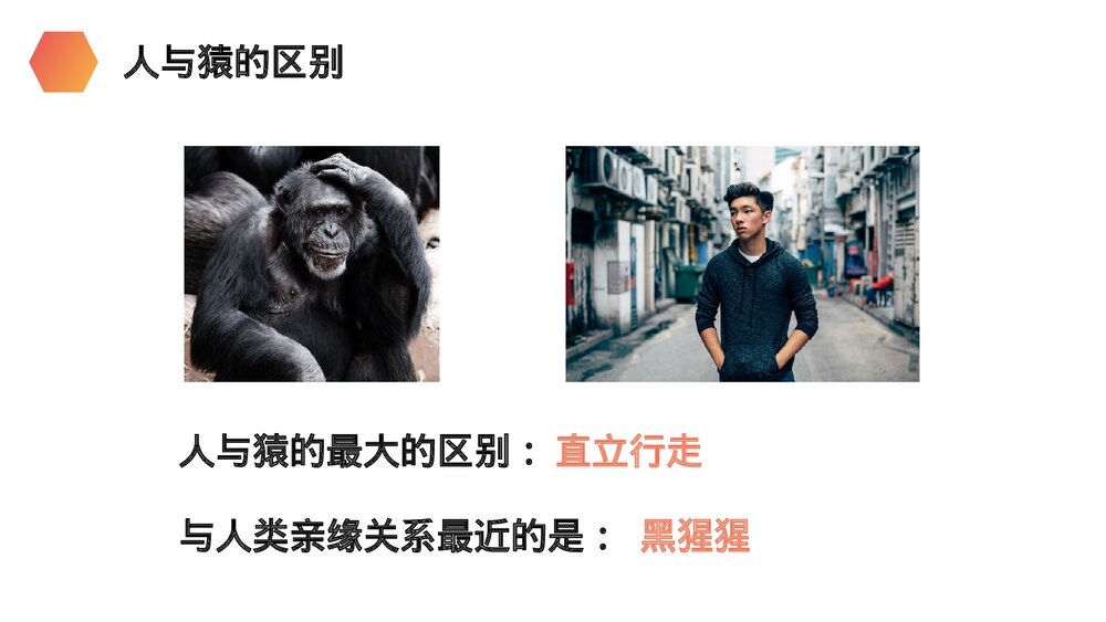 人教版生物七年级初一下册《人类的起源和发展》PPT课件9