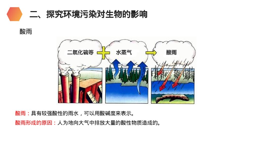 人教版生物七年级初一下册《探究环境污染对生物的影响》PPT课件3