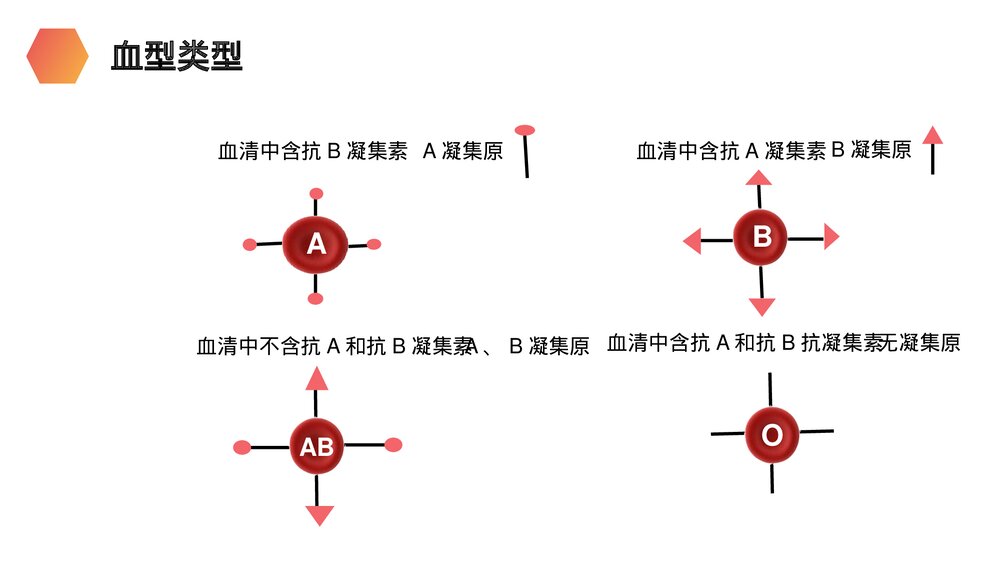 人教版生物七年级初一下册《输血与血型》PPT课件8