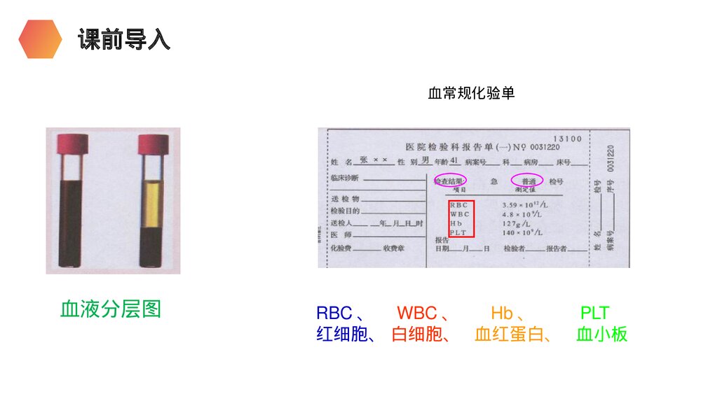 人教版生物七年级初一下册《流动的组织(血液)》PPT课件3