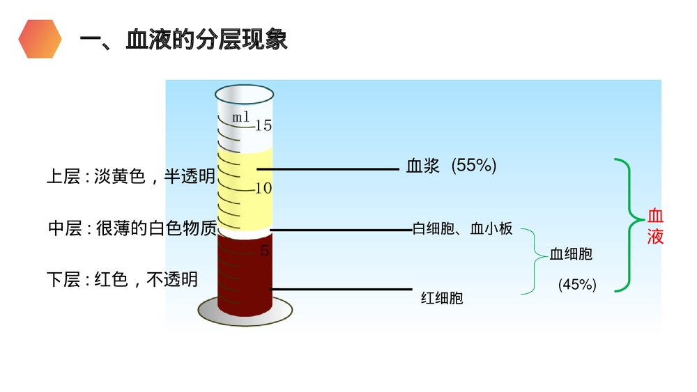 人教版生物七年级初一下册《流动的组织(血液)》PPT课件4