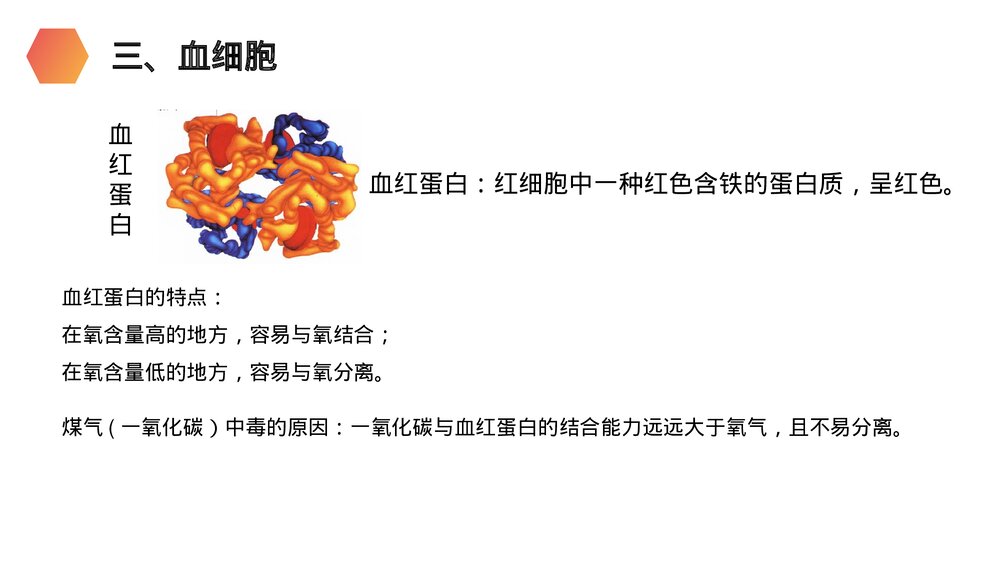 人教版生物七年级初一下册《流动的组织(血液)》PPT课件8