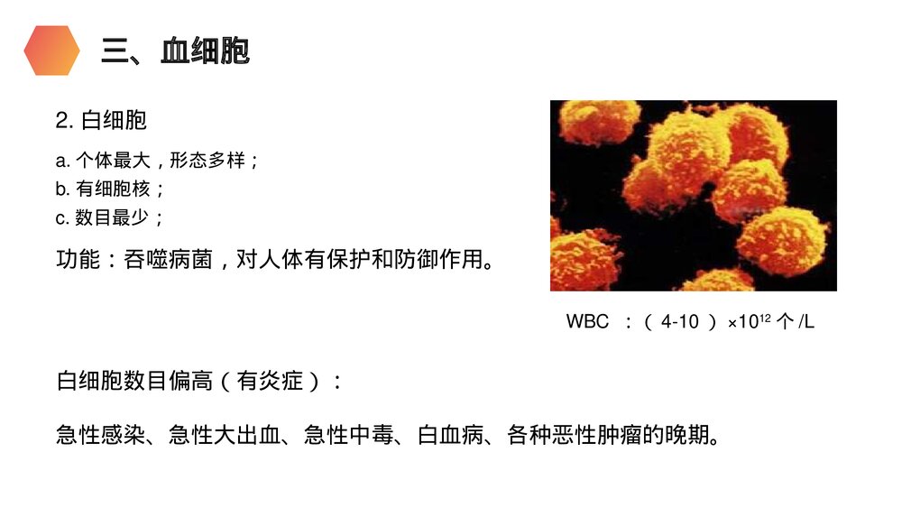 人教版生物七年级初一下册《流动的组织(血液)》PPT课件10