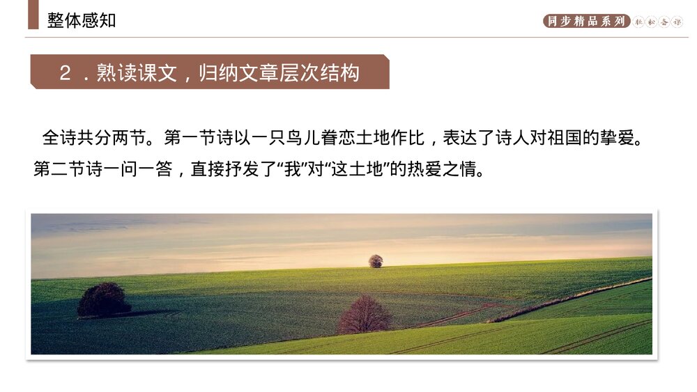 人教版九年级语文上册《我爱这土地》PPT课件8