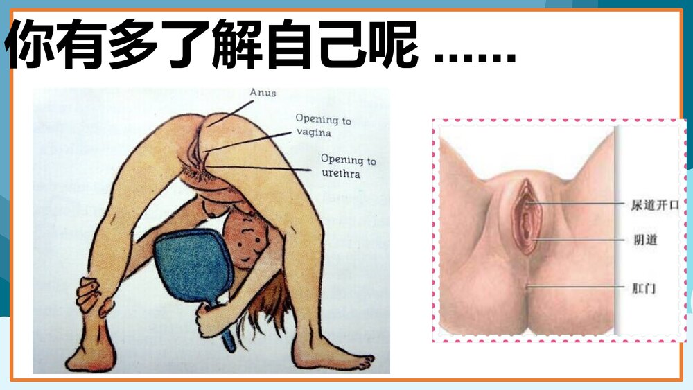 女孩青春期生理卫生知识讲座PPT课件(共27页)7