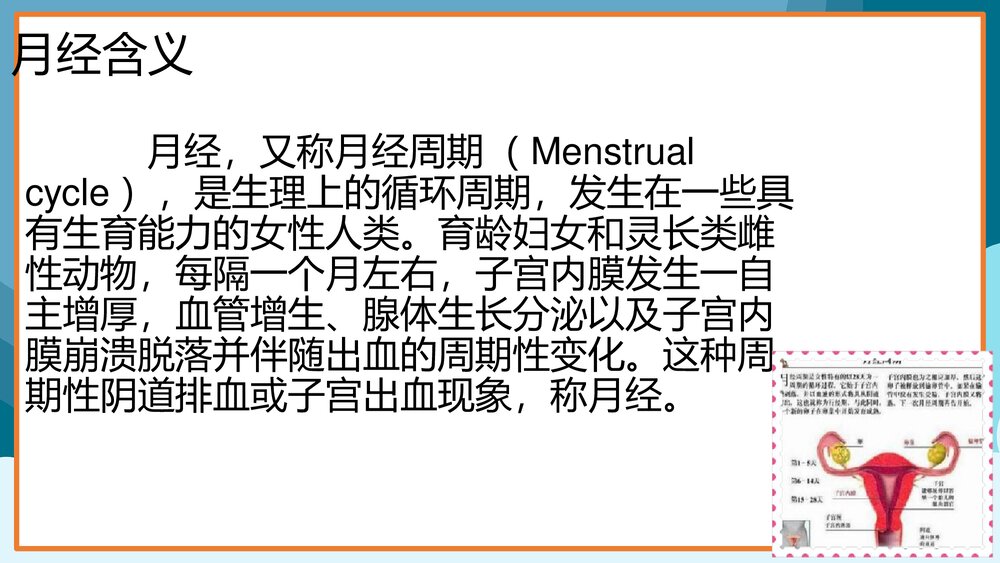 女孩青春期生理卫生知识讲座PPT课件(共27页)10