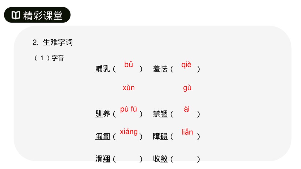 人教版七年级语文上册《动物笑谈》PPT课件5