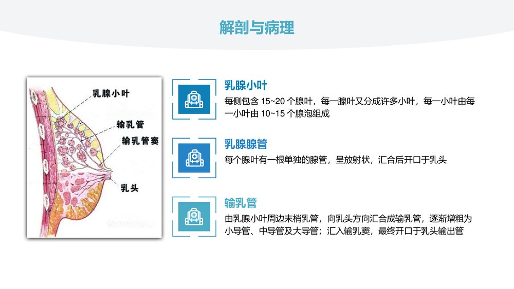 乳腺导管原位癌的超声诊断PPT课件(共31页)5