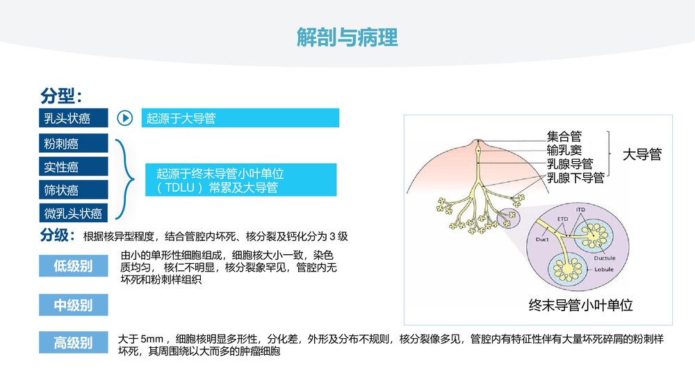 乳腺导管原位癌的超声诊断PPT课件(共31页)7