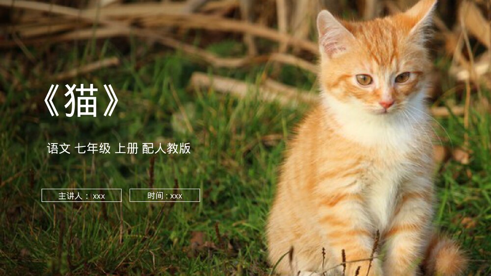 人教版七年级语文上册《猫》PPT课件1