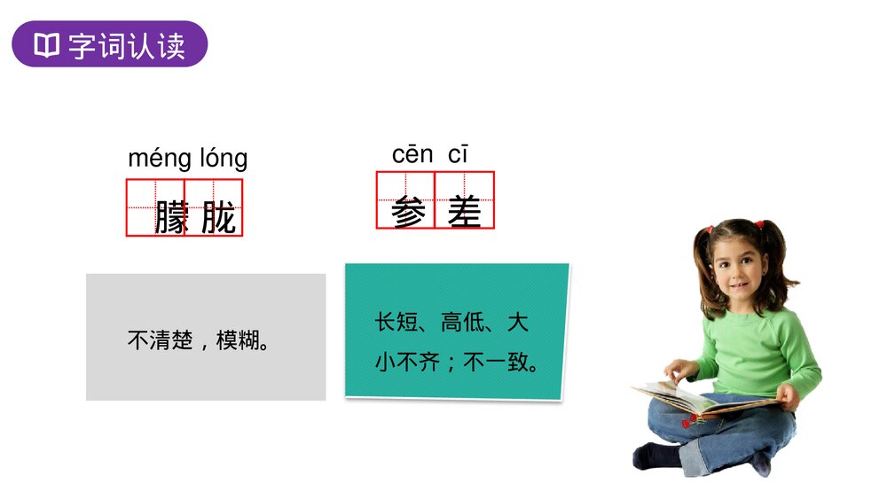 人教版六年级语文上册《丁香结》PPT课件5