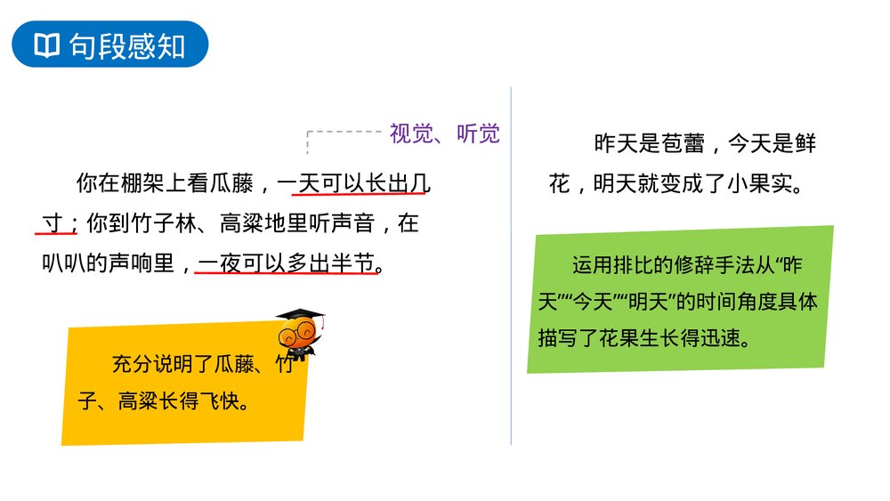 人教版六年级语文上册《夏天里的成长》PPT课件7