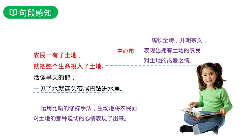 人教版六年级语文上册《三黑和土地》PPT课件7