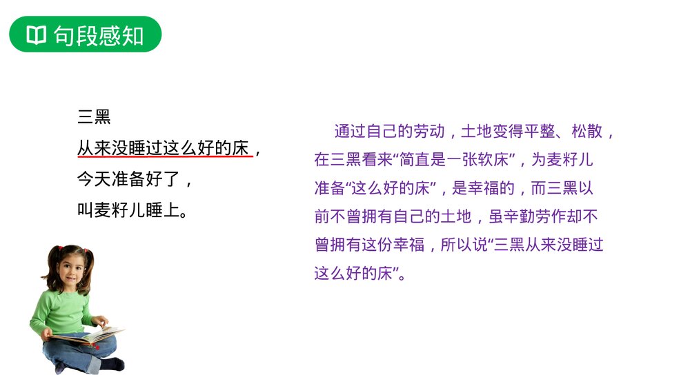 人教版六年级语文上册《三黑和土地》PPT课件9