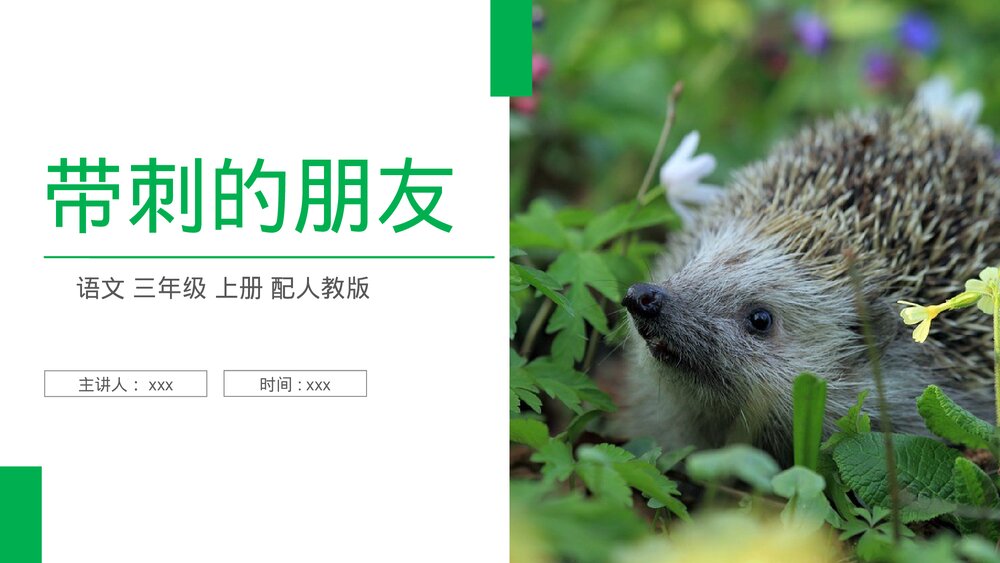 人教版三年级语文上册《带刺的朋友》PPT课件1