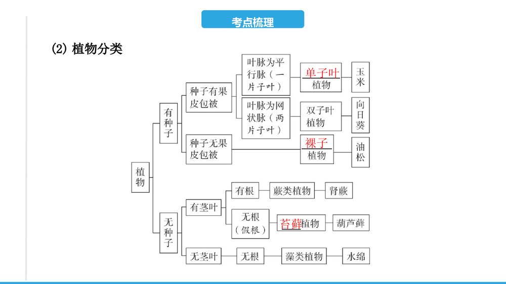 (人教版)2023年中考生物复习PPT课件第六单元 生物的多样性及其保护5