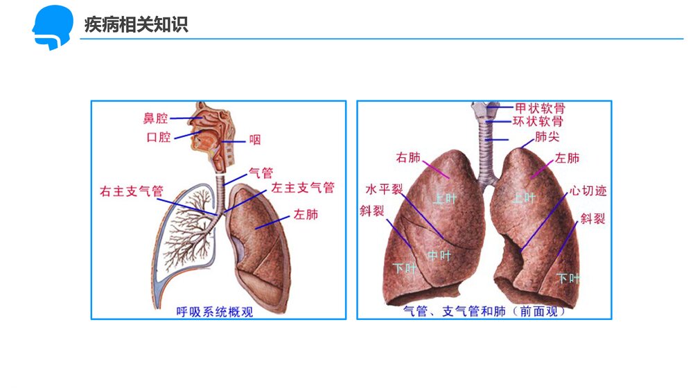 1型呼吸衰竭的护理查房PPT课件下载(共45页·可编辑修改)10